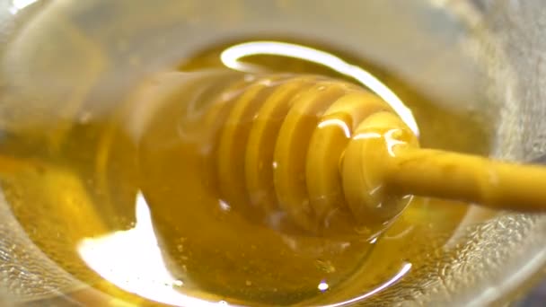 Med, drobný na skleněná mísa — Stock video