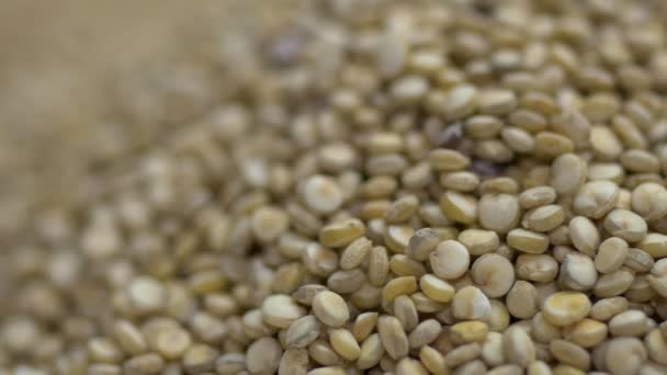 Semi di quinoa che cadono in una pila di quinoa — Video Stock