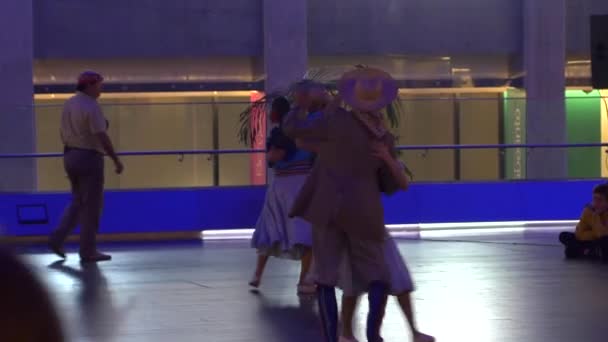Bailarines profesionales que realizan danza tradicional argentina, Polka — Vídeos de Stock