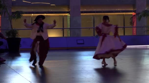 Bailarines profesionales que realizan danza tradicional argentina, Gato — Vídeos de Stock