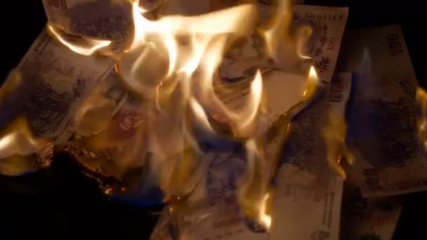 Burning 100 argentinian pesos bills — Stock Video