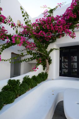 Tipik görünümü Mykonos - Yunanistan