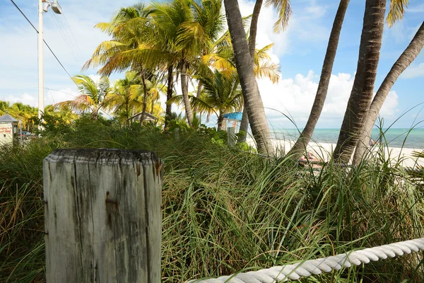 Krásné beach Florida — Stock fotografie