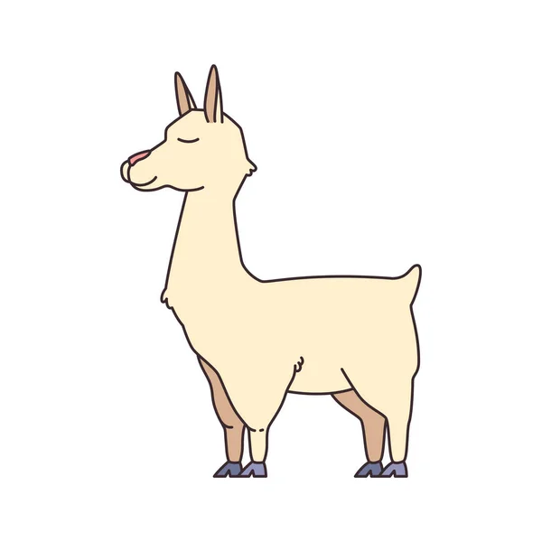 Cartone Animato Carino Rilassato Lama Animale Vettore Illustrazione — Vettoriale Stock