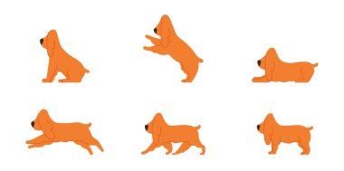 Spaniel köpek çeşitli düz çizgi grafikleri izole