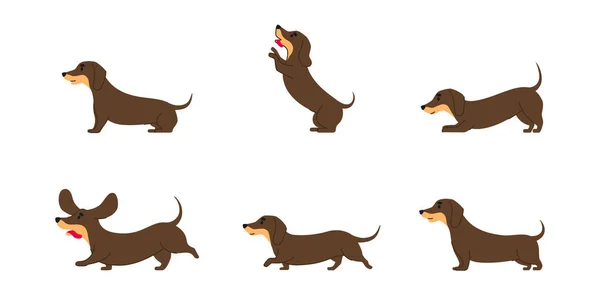 Dachshund Cão Várias Poses Linha Plana Gráfico Isolado — Vetor de Stock