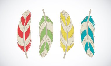 Renkli tüyler set vektör. Etnik kuş koleksiyonu.