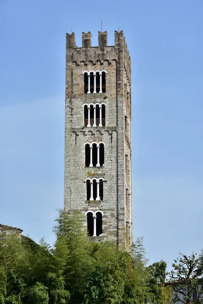 Basilique de San Frediano clocher — Photo