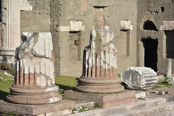 Forum för Augustus kolumner — Stockfoto