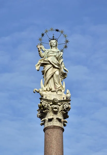 Virgin Mary of the Stars Royalty Free Stock Images
