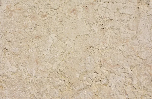 Istryjskiej kamienny tło — Zdjęcie stockowe
