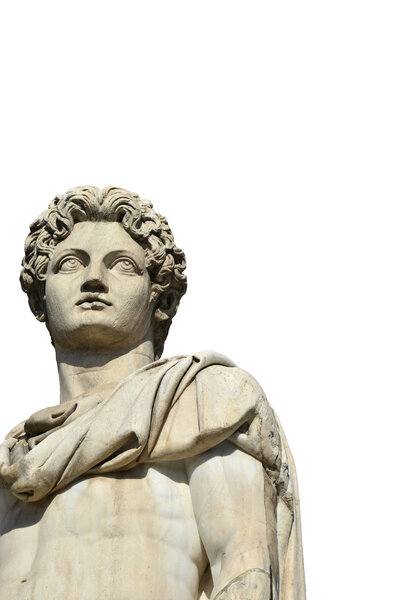 Castor or Pollux with copy space and white background