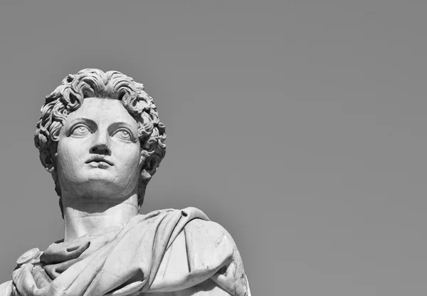 Castor or Pollux with copy space (B/W) — Stock Photo, Image