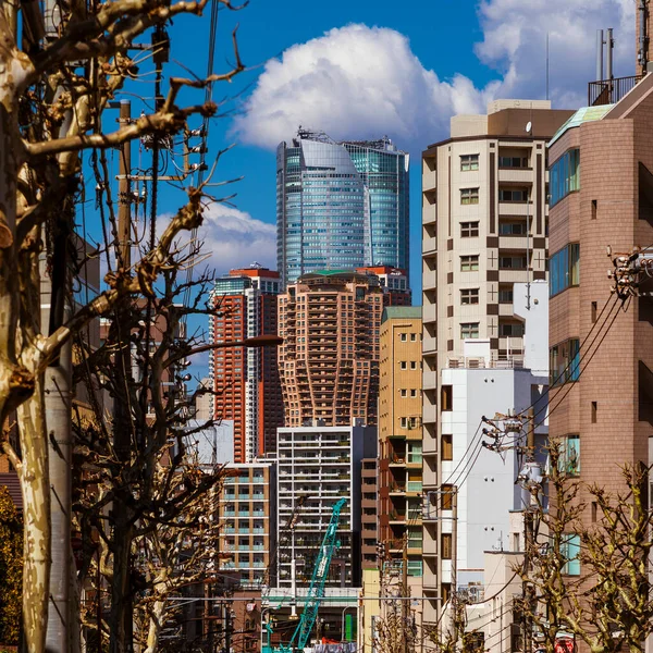 2019年3月8日 东京有趣的建筑 从田川看到的Roppongi区摩天大楼和高楼群 — 图库照片
