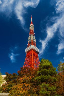 Tokyo, Japonya, 4 Kasım 2017 - Japonya 'da sonbahar. Tokyo Kulesi dönen bulutların arasında sonbahar yaprakları üzerinde yükseliyor