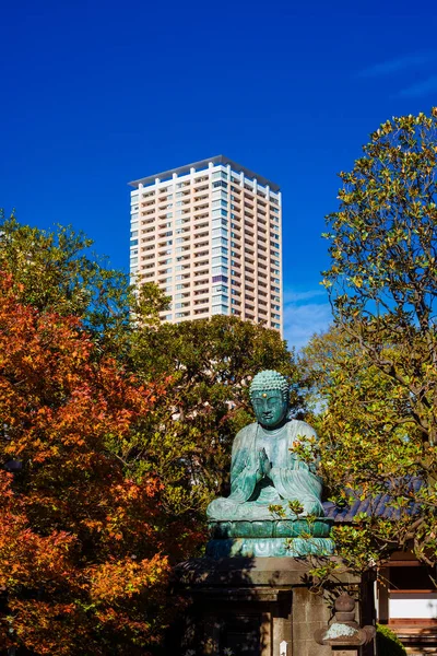 Tokyo Japon Novembre 2017 Japon Entre Tradition Modernité Ancien Yanaka — Photo