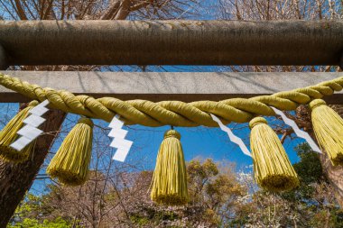  Kamakura, Japonya, 27 Mart 2019 - Japonya 'da ruhanilik. Sarı Shimenawa, kutsal Shinto bölgelerinde kullanılan kuru bir kenevir ipi.