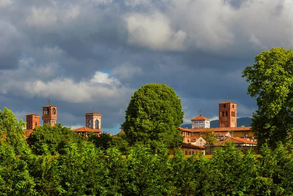 Lucca Encantador Horizonte Del Centro Histórico Con Torres Medievales Eleva — Foto de Stock