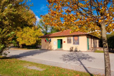 Lucca, İtalya, 21 Ekim 2021 - Sonbahar yapraklı Lucca Nane Müzesi