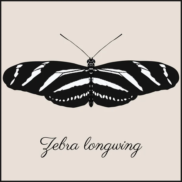 Zebra longwing butterfly card