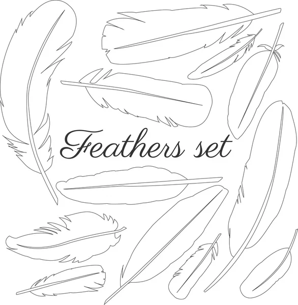 Collection of isolated flat style bird feathers set — Stockvector