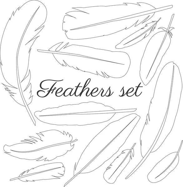 Collection of isolated flat style bird feathers set