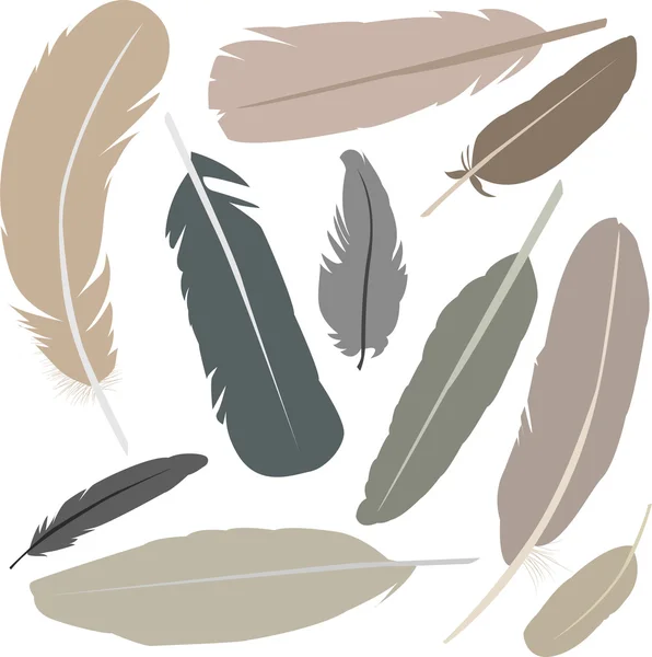 Collection of isolated flat style bird feathers set