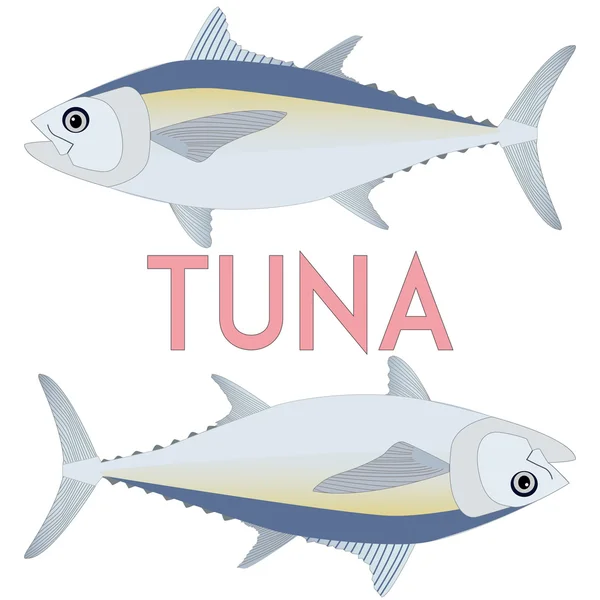 Peixe de atum. Ilustração do vetor legal — Vetor de Stock