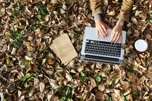 Laptop ve defter ile park içinde yatan genç güzel kadın