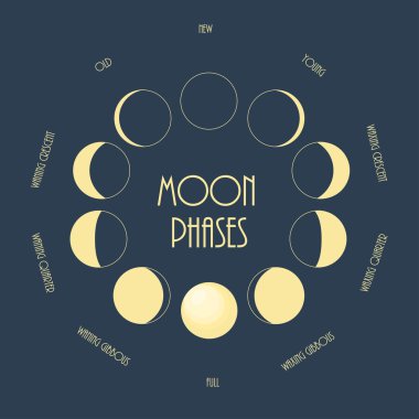 Altı ay evreleri. En az düz vektör çizim.
