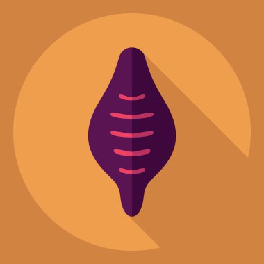 Gölge simgesi makarna ile düz modern tasarım