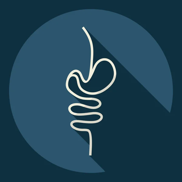 Design moderne plat avec ombre Icône intestins — Image vectorielle