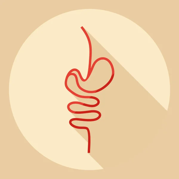 Projeto moderno plano com sombra Ícone intestinos — Vetor de Stock