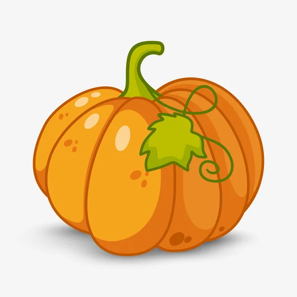 Orange pumpkin on a white background with shadow — Stock Vector