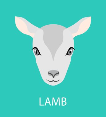 Soyut kuzu. Çizgi film