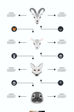 Infographics ayrıntılı bir açıklama ile hayvanların Image ile gelişmiş