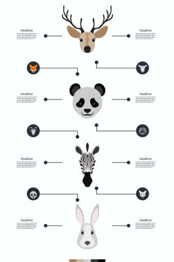 Infographics ayrıntılı bir açıklama ile hayvanların Image ile gelişmiş