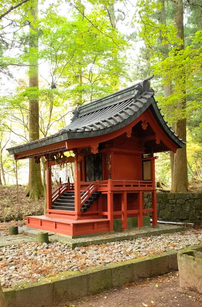 Дерев'яний храм у великий ліс в Nikko Ліцензійні Стокові Зображення