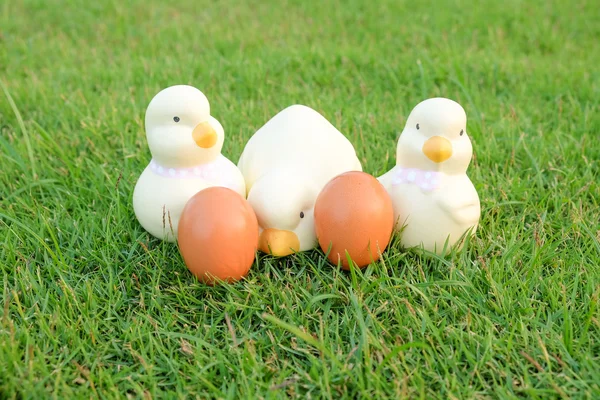 Pascua, huevos y pollo — Foto de Stock