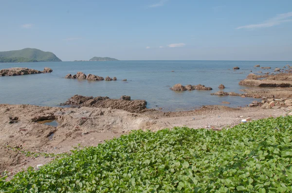 Vista spiaggia rocciosa — Foto Stock