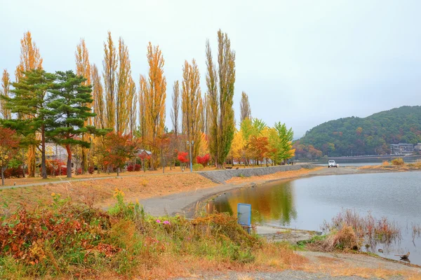 银杏树公园 — 图库照片
