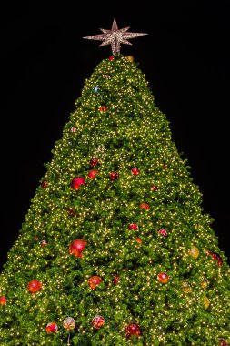 Noel Ağacı Işıkları