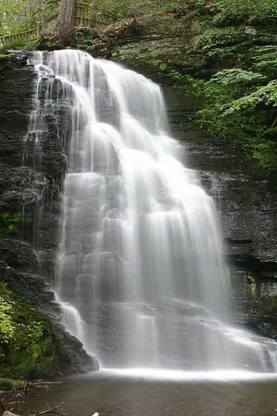 Cascate delle damigelle d'onore inferiori Immagine Stock