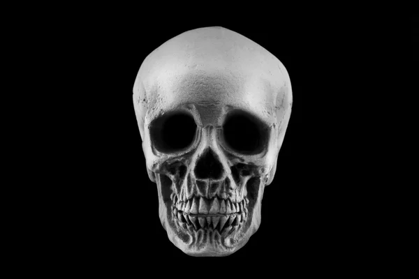 頭蓋骨をフローティング — ストック写真