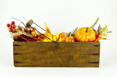 Su kabakları ve peynir kutusunda sonbahar yaprakları