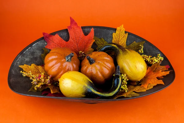 Gourds & Autumn Leaves — Stock Photo, Image