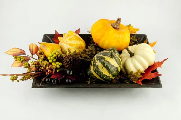 Gourds & Autumn Leaves — Stock Photo, Image