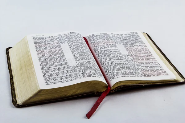 Bibbia aperta su sfondo bianco Immagine Stock