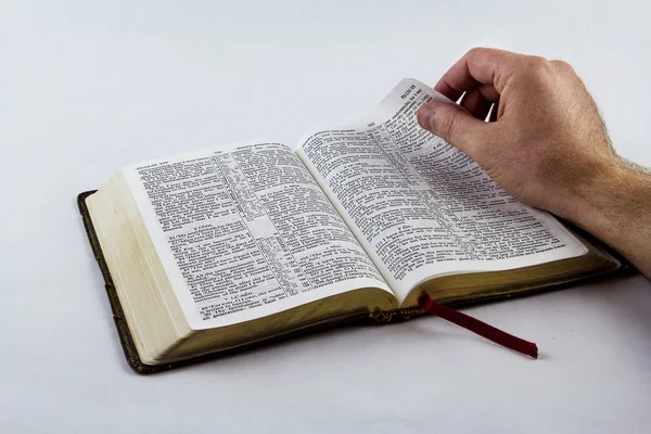 Leggere una Bibbia su sfondo bianco Immagini Stock Royalty Free