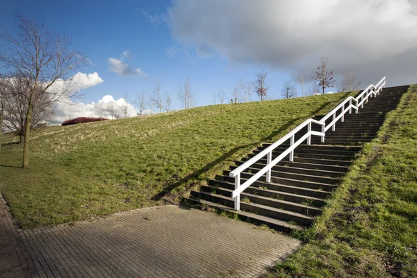 Escalera en un dique — Foto de Stock